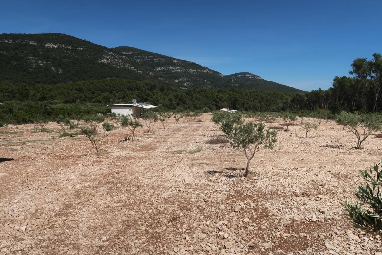 Willa Robinson Olive Tree Huts Čara Zewnętrze zdjęcie